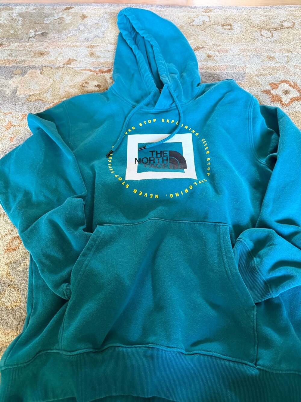 The North Face Never Stop Exploring Geo NSE Box Logo Pullover Hoodie Teal Blue